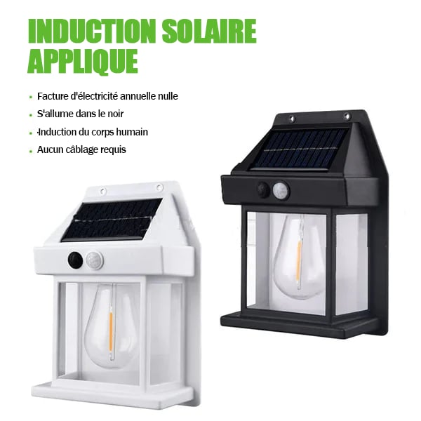🔥VENTE LIMITÉE 50 % DE RÉDUCTION🔥Applique murale solaire à détecteur de mouvement en tungstène